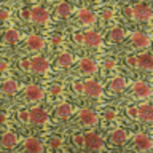 Meet your Posher, Molly rose